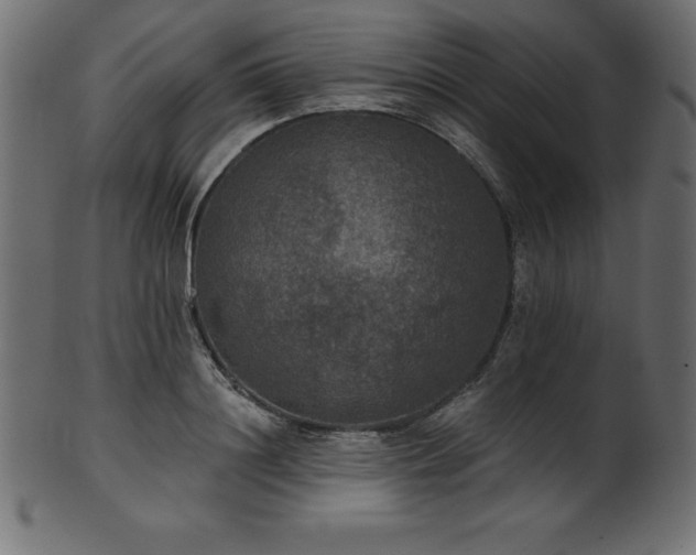 X0000102040844200807181511