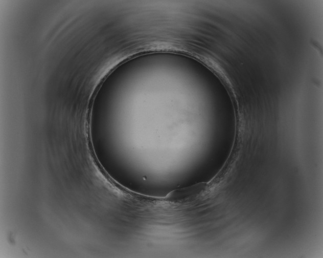 X0000102040847200807181511