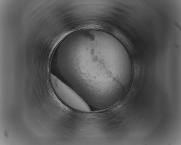 X0000102040852200807181511