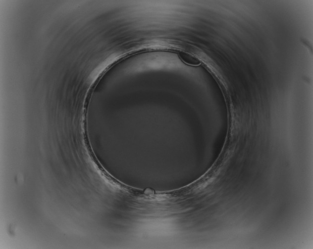 X0000102040853200807181511