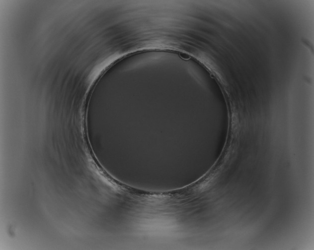 X0000102040854200807181511