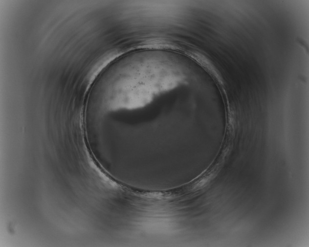 X0000102040855200807181511