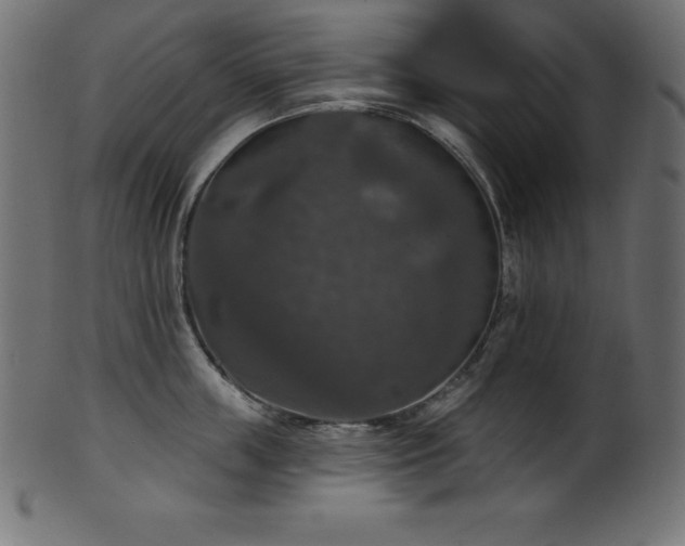 X0000102040859200807181511