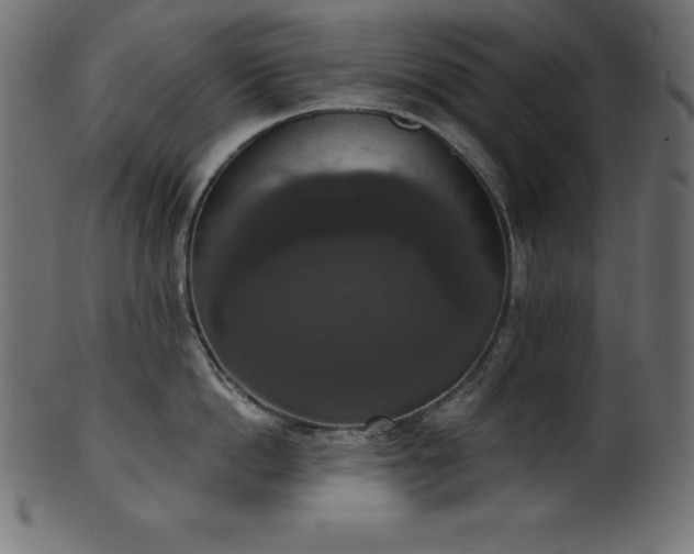 X0000102040862200807181511