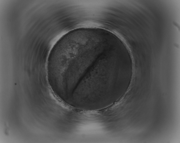 X0000102040864200807181511