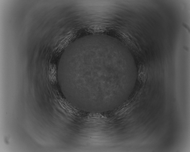 X0000102040866200807181510