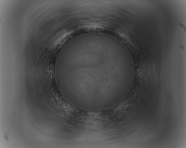 X0000102040870200807181510