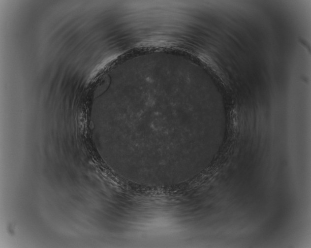 X0000102040872200807181510