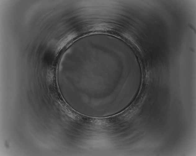 X0000102040874200807181510
