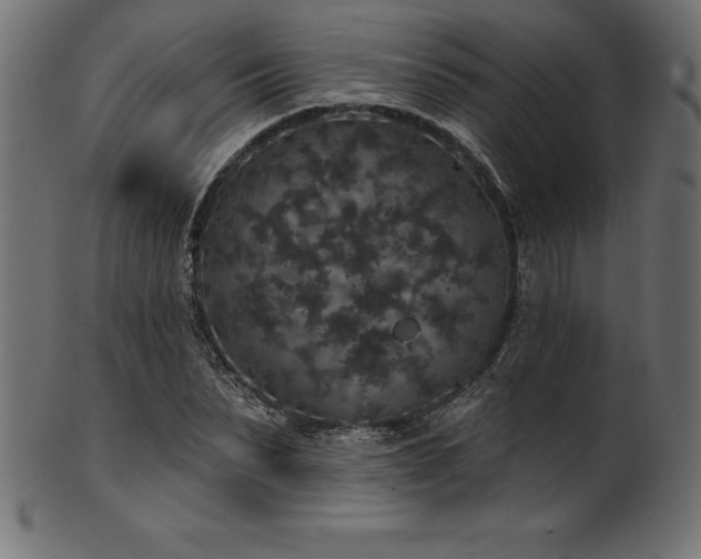 X0000102040879200807181510