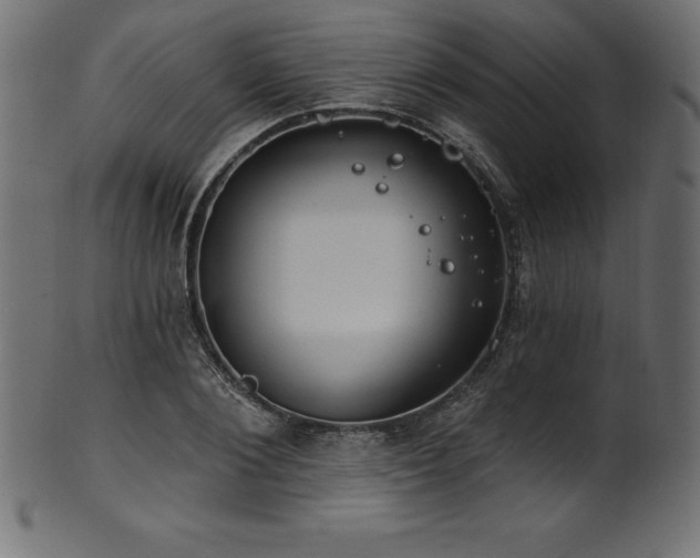X0000102040884200807181510