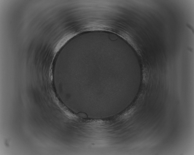 X0000102040885200807181510