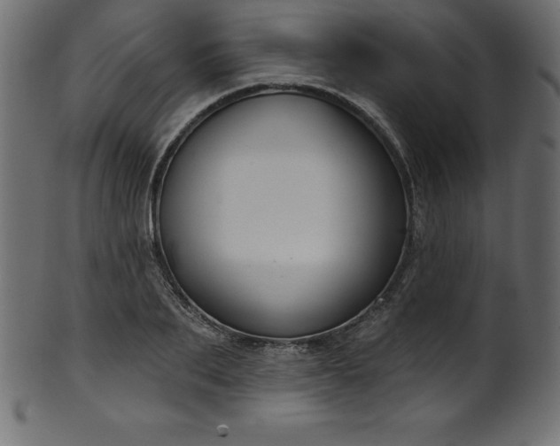 X0000102040887200807181510
