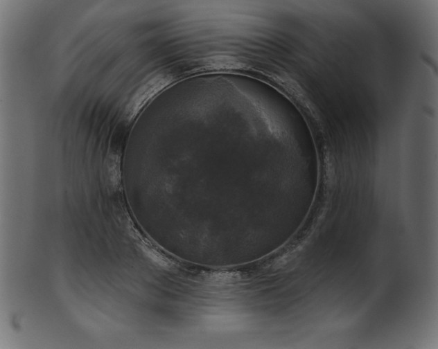 X0000102040889200807181510