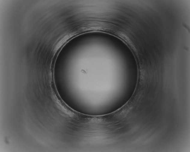 X0000102040890200807181510
