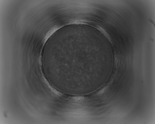X0000102040893200807181510