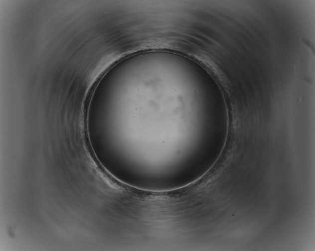 X0000102040894200807181510