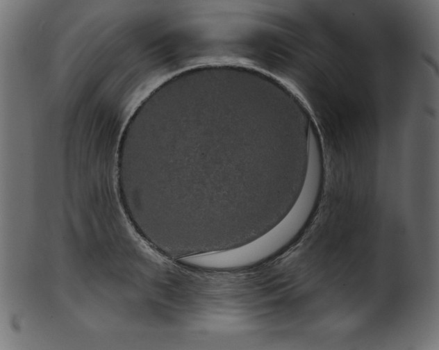 X0000102040895200807181510