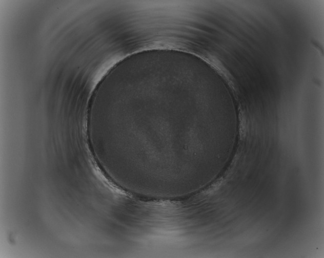 X0000102040896200807181510