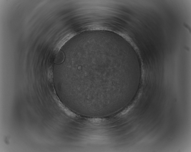 X0000102040897200807181510
