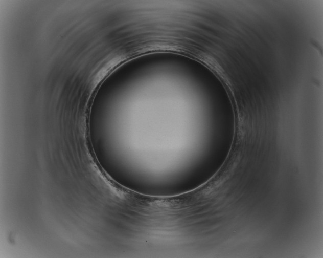 X0000102040898200807181510