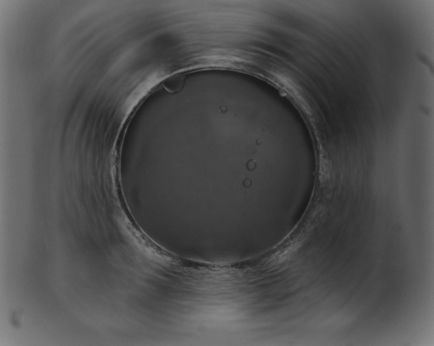 X0000102040899200807181510