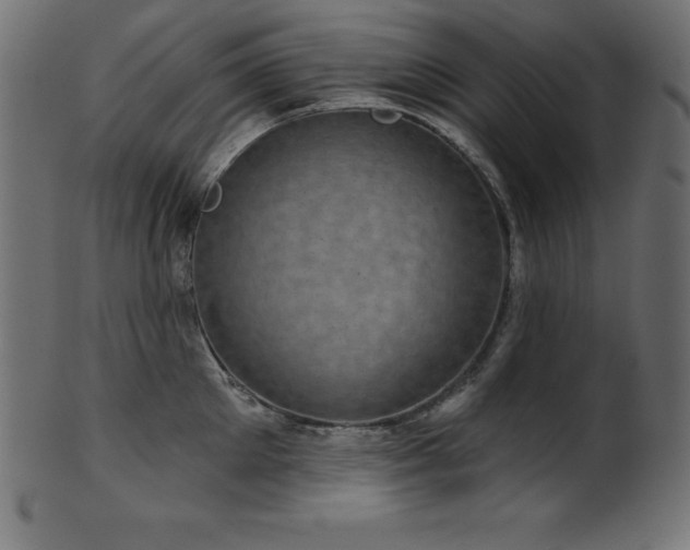 X0000102040905200807181510