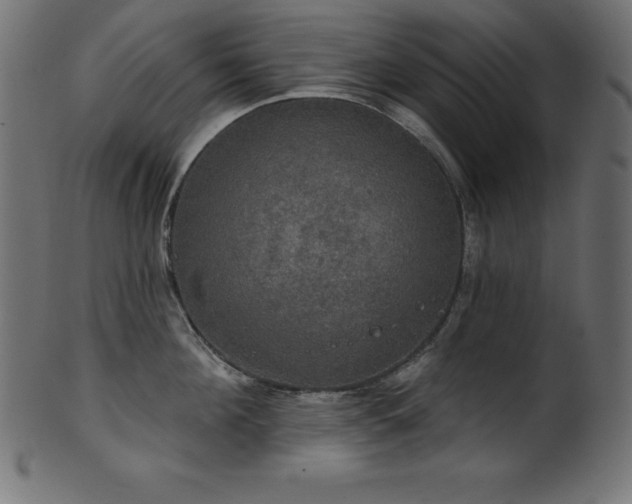 X0000102040908200807181510