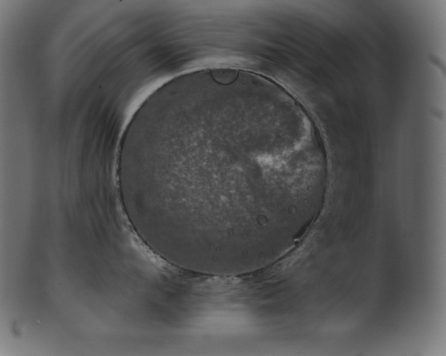 X0000102040912200807181509