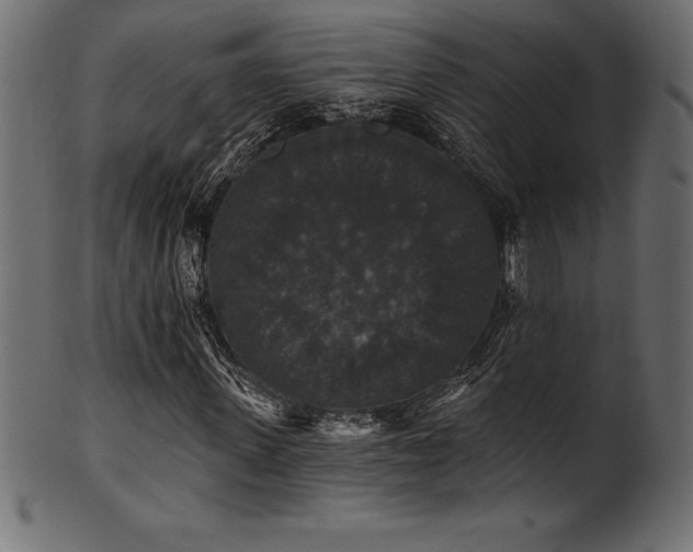 X0000102040915200807181509