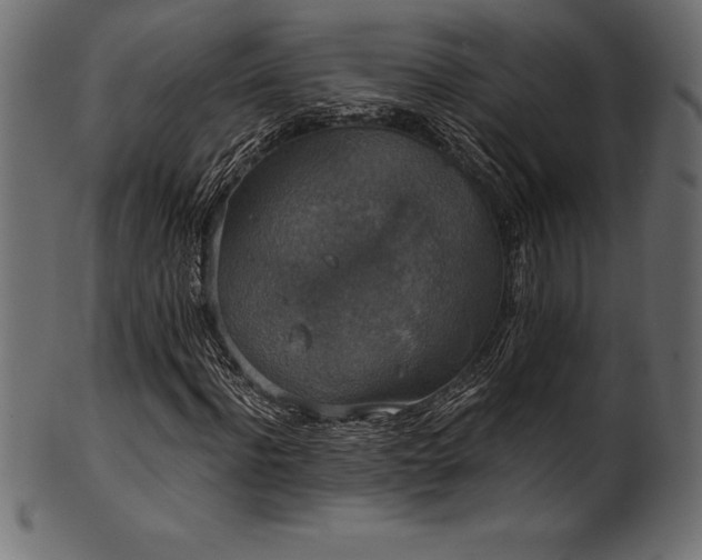 X0000102040916200807181509