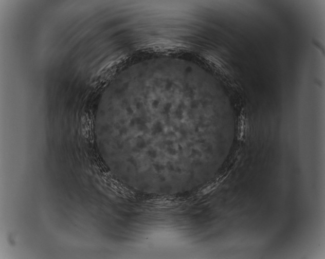 X0000102040917200807181509