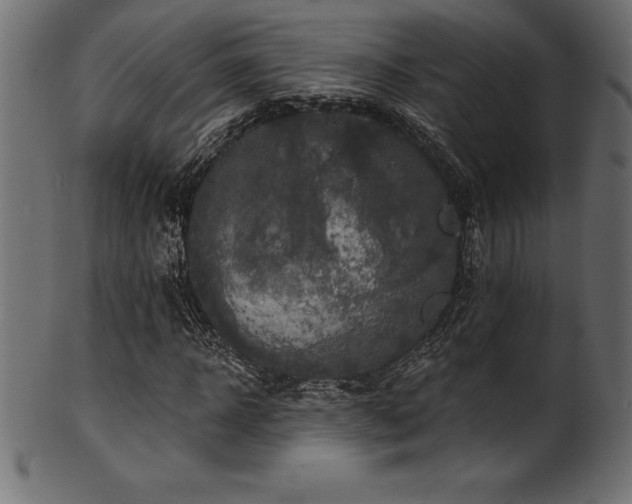 X0000102040918200807181509
