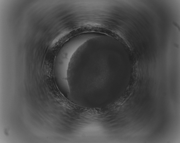 X0000102040919200807181509