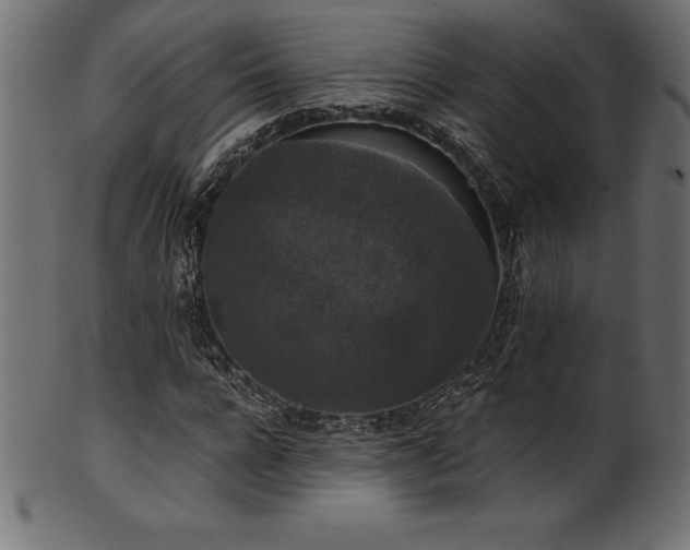 X0000102040920200807181509