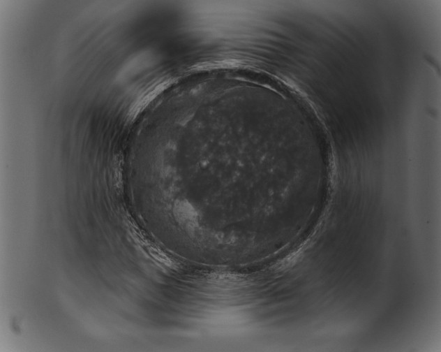 X0000102040921200807181509