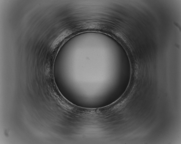 X0000102040922200807181509