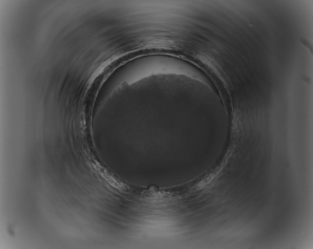 X0000102040923200807181509
