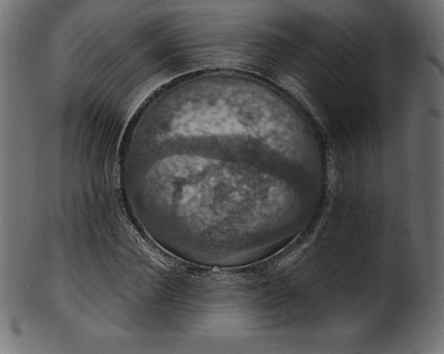 X0000102040924200807181509