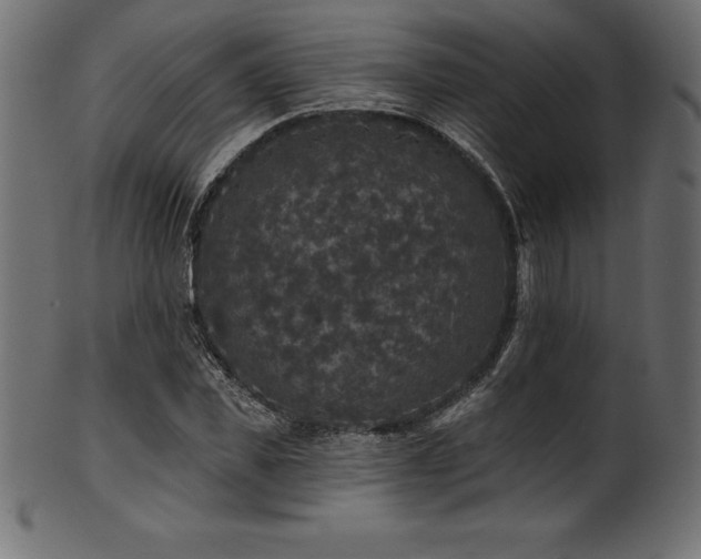 X0000102040925200807181509