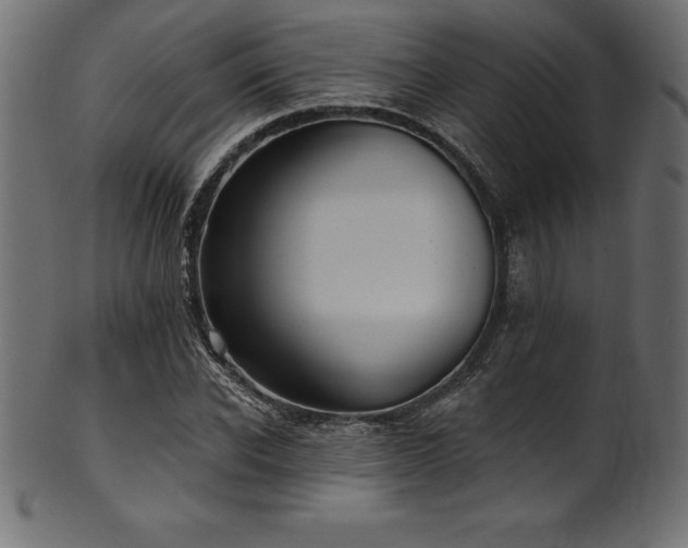 X0000102040926200807181509