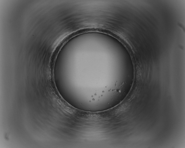 X0000102040927200807181509