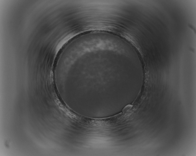 X0000102040928200807181509