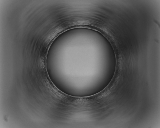 X0000102040929200807181509