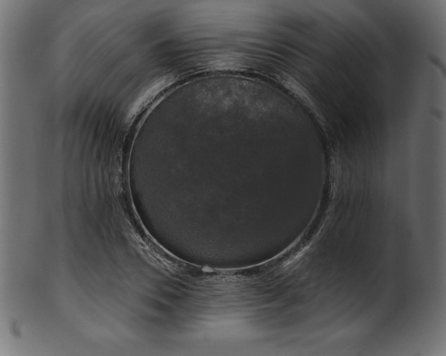 X0000102040930200807181509