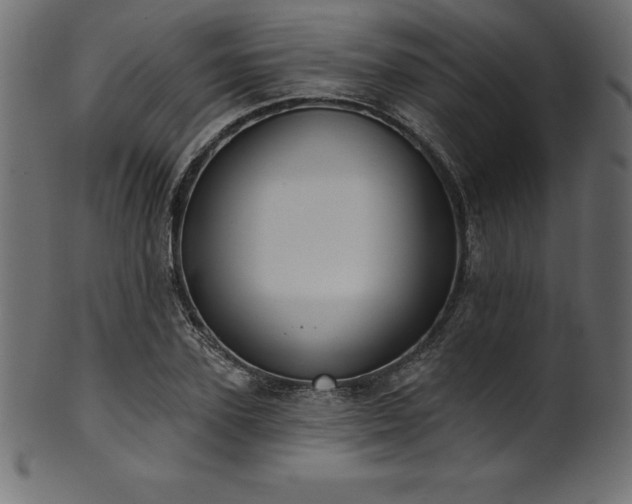 X0000102040931200807181509
