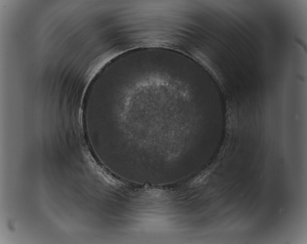 X0000102040932200807181509