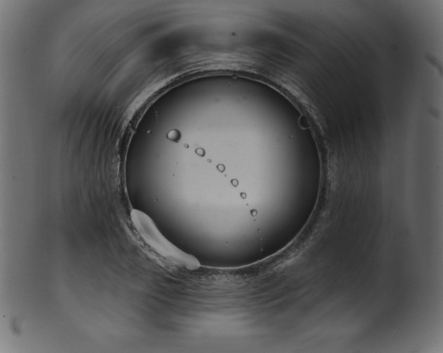 X0000102040933200807181509