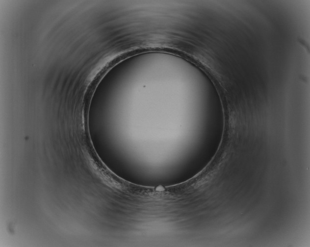 X0000102040934200807181509