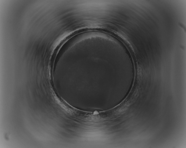 X0000102040935200807181509